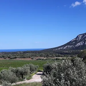  Vakantieboerderij Su Barcu